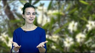 Famous Tea tree oil: an insight on the Aboriginal bush medicine Profile