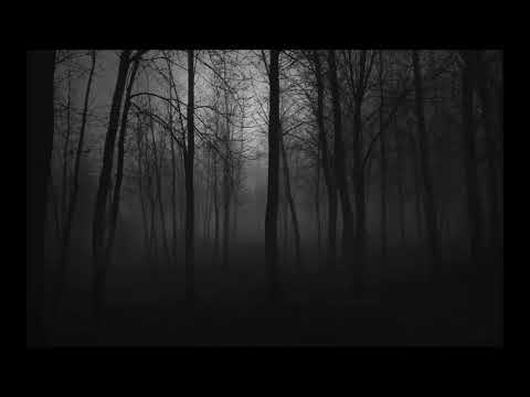 Sleduj Kotek & Littlemore - Surface na YouTube Sleduj Kotek & Littlemore - Surface na YouTube