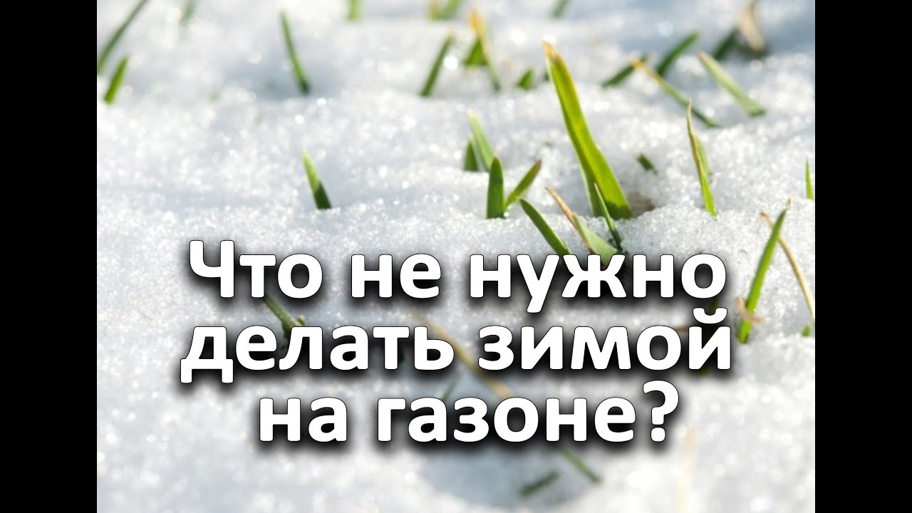 Что не нужно делать зимой на газоне?