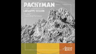 Invaders • PACHYMAN