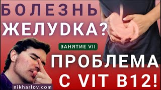 Как желудок переваривает пищу: белок, углеводы, жиры, внутренний фактор Касла, кобаламин Витамин В12