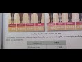 BODY MASS INDEX