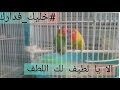 الا يا لطيف لك اللطف