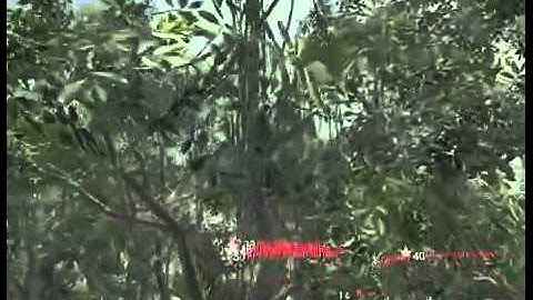 CROSS MAP TOMAHAWK ON JUNGLE! AMAZING