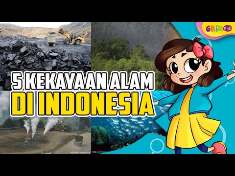 5 Kekayaan Alam Di Indonesia Youtube