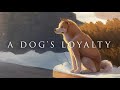 A Dog&#39;s Loyalty | Ambient Music