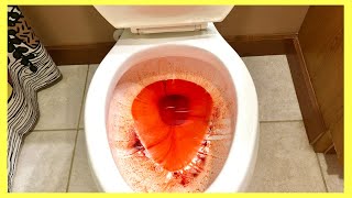 8 Toilet Cleaning Hacks For Lazy People Andrea Jean