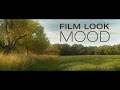 Tutorial: Film Look & Mood