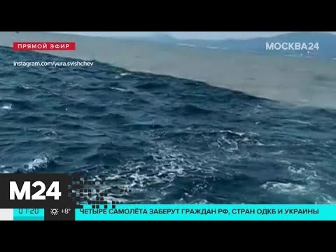 В Сочи отдыхающие сняли "слияние двух морей" - Москва 24