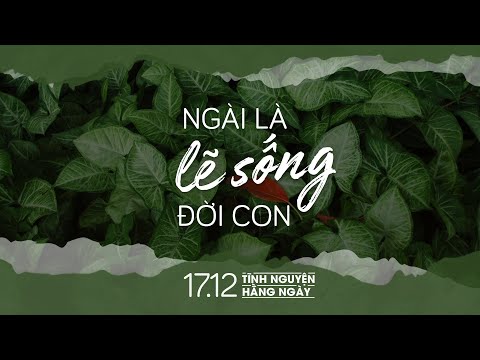 Radio Lẽ sống