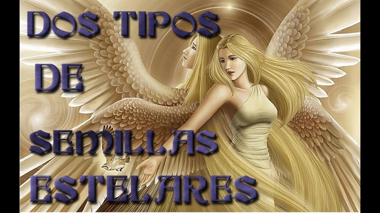 DOS TIPOS DE SEMILLAS ESTELARES - YouTube