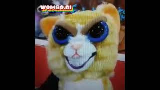 Kitten Sings The Feels On Wombo Ai