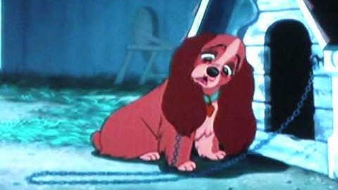 animash party in my head *Yay! Blacky