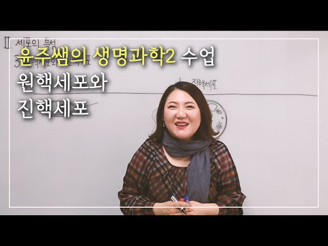 [생명과학2] 9. 원핵세포와 진핵세포 김윤주 선생님