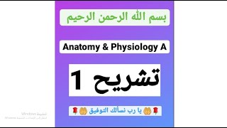 شرح 14 تشريح 1 شبتر 5  (2)Muscular system