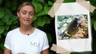Marine Biology at Home, Episode 3 Part 3