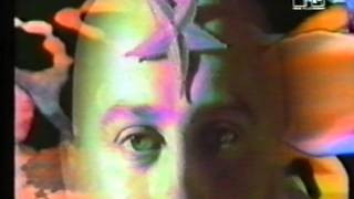 Visions of Shiva - Perfect day