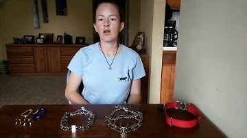 Intro to Prong Collars