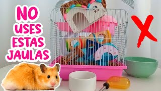 ¿Compraste una JAULA DE BARROTES? - TEN CUIDADO con tu hámster! 🐹❌ by Pequeños Roedores 1,163 views 2 months ago 11 minutes, 1 second