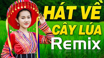 Liên Khúc HÁT VỀ CÂY LÚA HÔM NAY REMIX - Nhạc Đỏ Cách Mạng Thời Bao Cấp Remix Bass Căng Hào Hùng