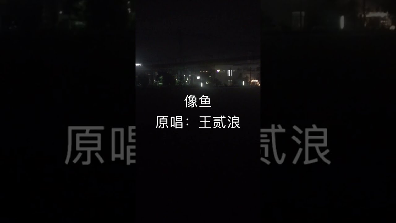 杜宣达 - 像鱼 (男版2023)(原唱：王贰浪)「我要记住你的样子，像鱼记住水的拥抱」(4k Video)【動態歌詞/pīn yīn gē cí】#杜宣达 #像鱼 #王贰浪 #動態歌詞