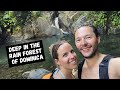 Hiking in the Rain Forest of Dominica - Rewarding Swim in a Natural Pool