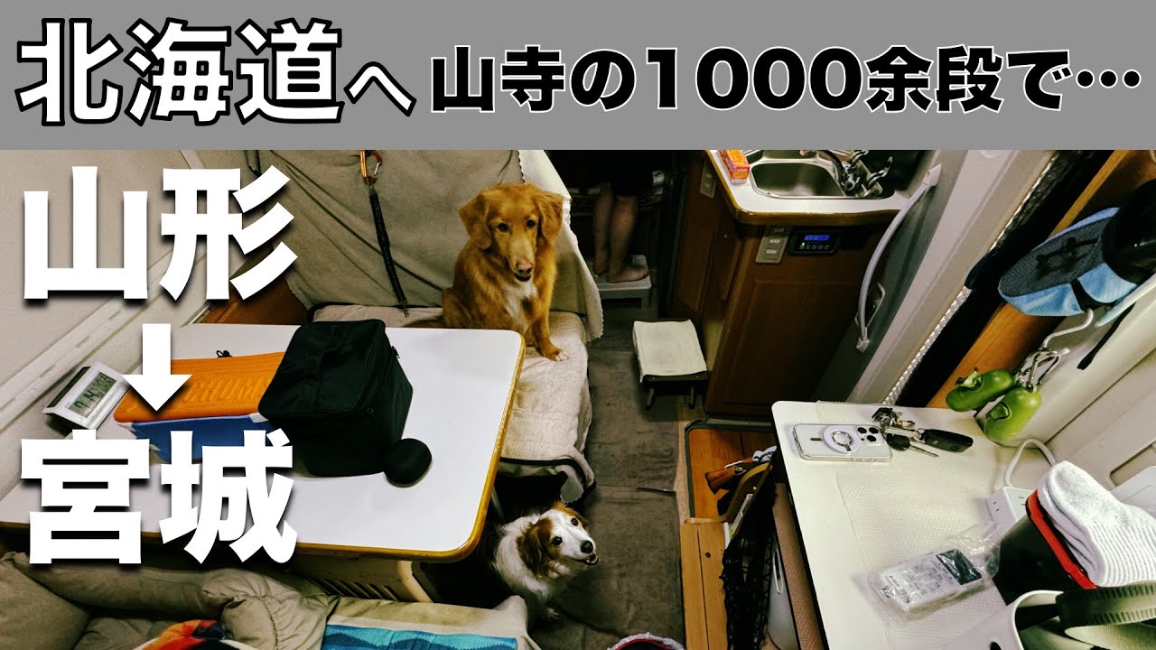 「北海道車中泊旅 山形で石段1000段の山寺で蝉の声を聞きながら修行の道を体験！ ご褒美は牛タン」の巻【2024 VLOG #20】愛犬と車中泊｜50代夫婦キャンピングカー旅｜車旅｜レガードネオプラス