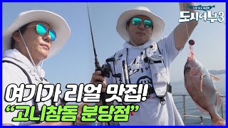 참돔은 역시 킹태곤! 고니참돔 분당점 | 나만 믿고 따라와 도시어부 3 24 회