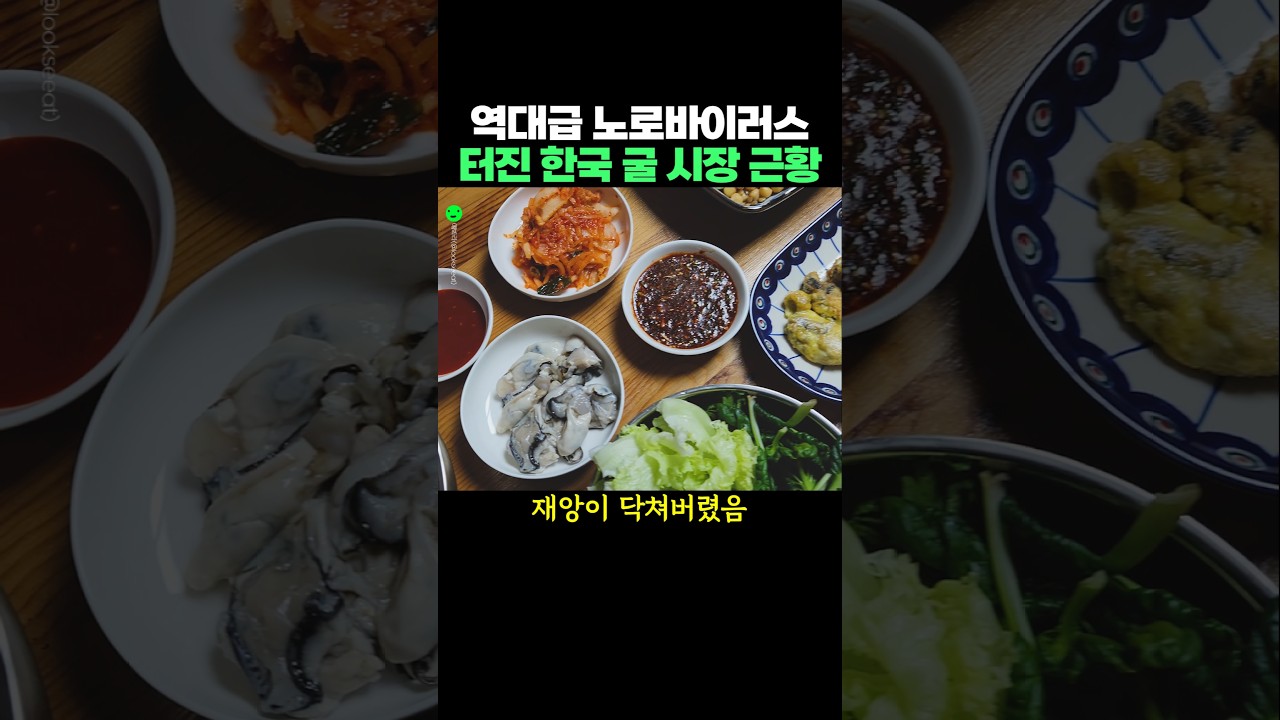 역대급 노로바이러스 터진 한국 굴 시장 근황
