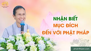 Nhận biết mục đích đến với Phật Pháp để tinh tấn tu tập