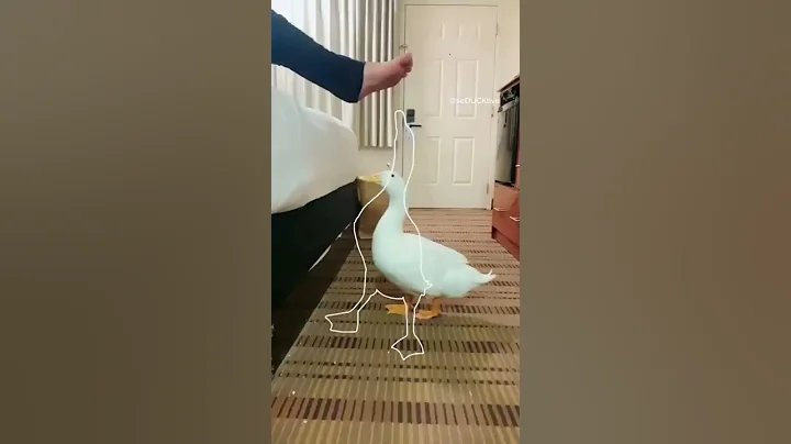 Running Duck 3 (outline trend tiktok)