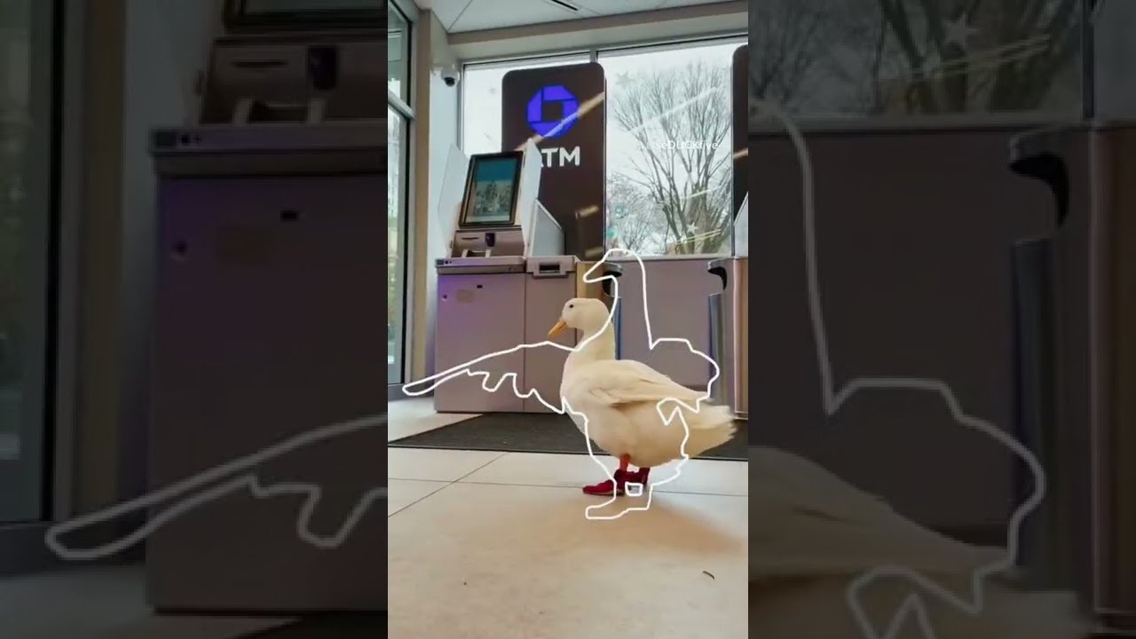 Running Duck 3 (outline trend tiktok)