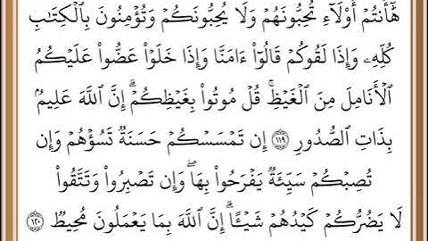 #خليفة_الطنيجي,  سورة آل عمران من الآية 119 إلى الآية 120