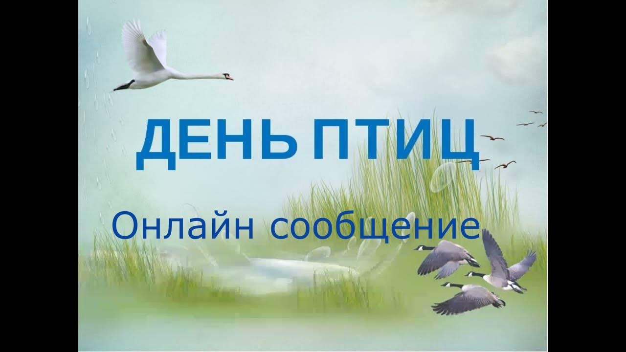 День птиц в детском саду презентация. День птиц. Международный день птиц. Международный день Пти. Междунаровныйденьптиц.