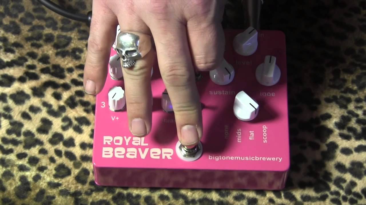 BigToneMusicBrewery Royal Beaver