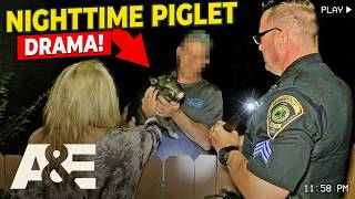Live PD: Greatest Shifts — Loose Pig Reported as Aggressive, Officers Discover the Truth | A&E