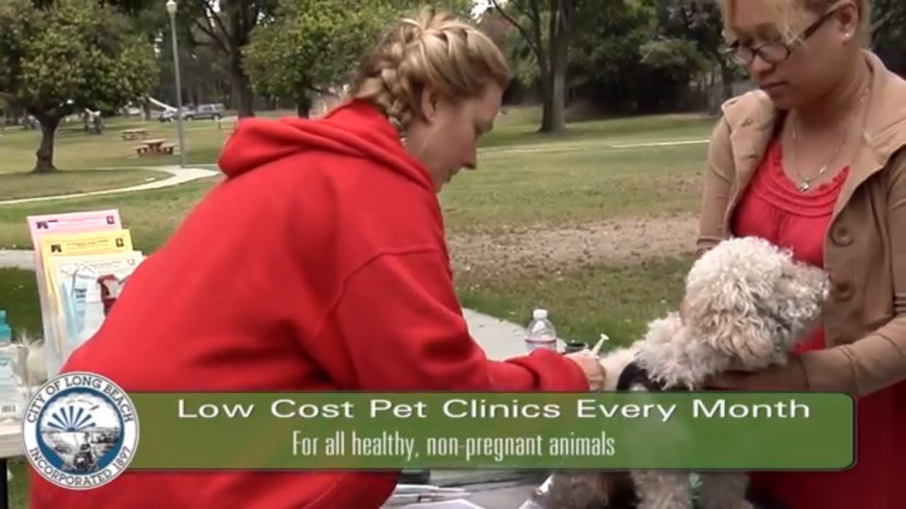 PSA Long Beach Low Cost Pet Clinics YouTube