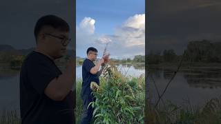 Harvesting wild vegetables in the lakeside garden