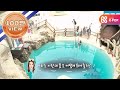 에이핑크의 쇼타임 - [HD]2회 번지점프2탄? 다이빙! /Apink's diving