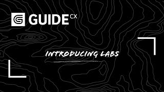 GUIDEcx Introduces Labs