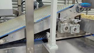 Skywin Machinery Combi Soft and Hard Biscuit Production Line
