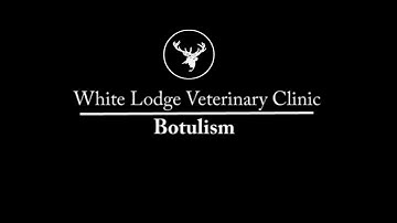 White Lodge Vetetinary Clinic: Equine Botulism