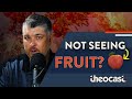 Dont see fruit of the spirit in your life