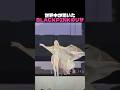 世界中が驚いたBLACKPINKのリサ