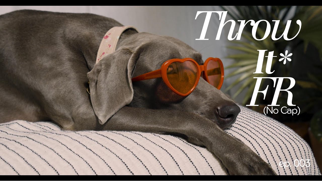 🎶 “Throw it FR (no cap)” – Official Music Video | Dog Anthem! 🐾