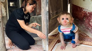 Little monkey Tina ran away angry with her mother, looking so adorable