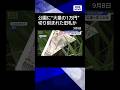 【ニュース】公園に“大量の1万円”見つかる... 本物?旧札ばかり“切られた状態” #shorts