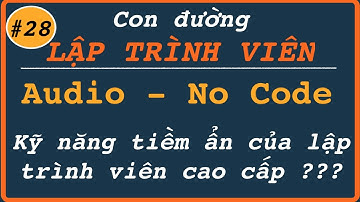 AUDIO - NO CODE | Kỹ năng tiềm ẩn của một Lập Trình Viên Cao Cấp | Con đường đến Lập Trình Viên (28)