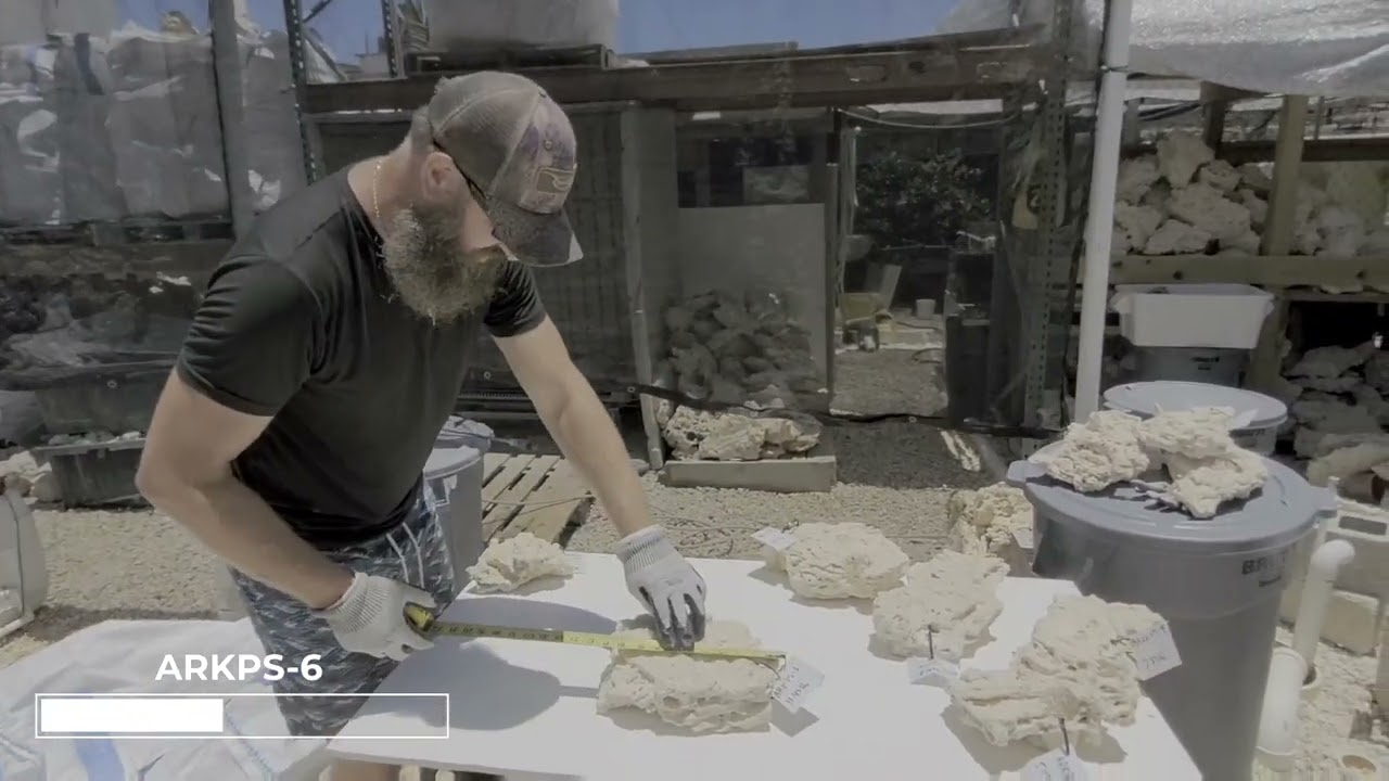 WYSIWYG Premium Shelf Rock ARKPS-1 to 11