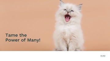 How SUSE helps the automotive industry with delivering experiences, not just cars